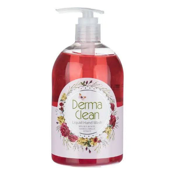 derma-clean-liquid-soap-transparent-jujube-camellia-500ml